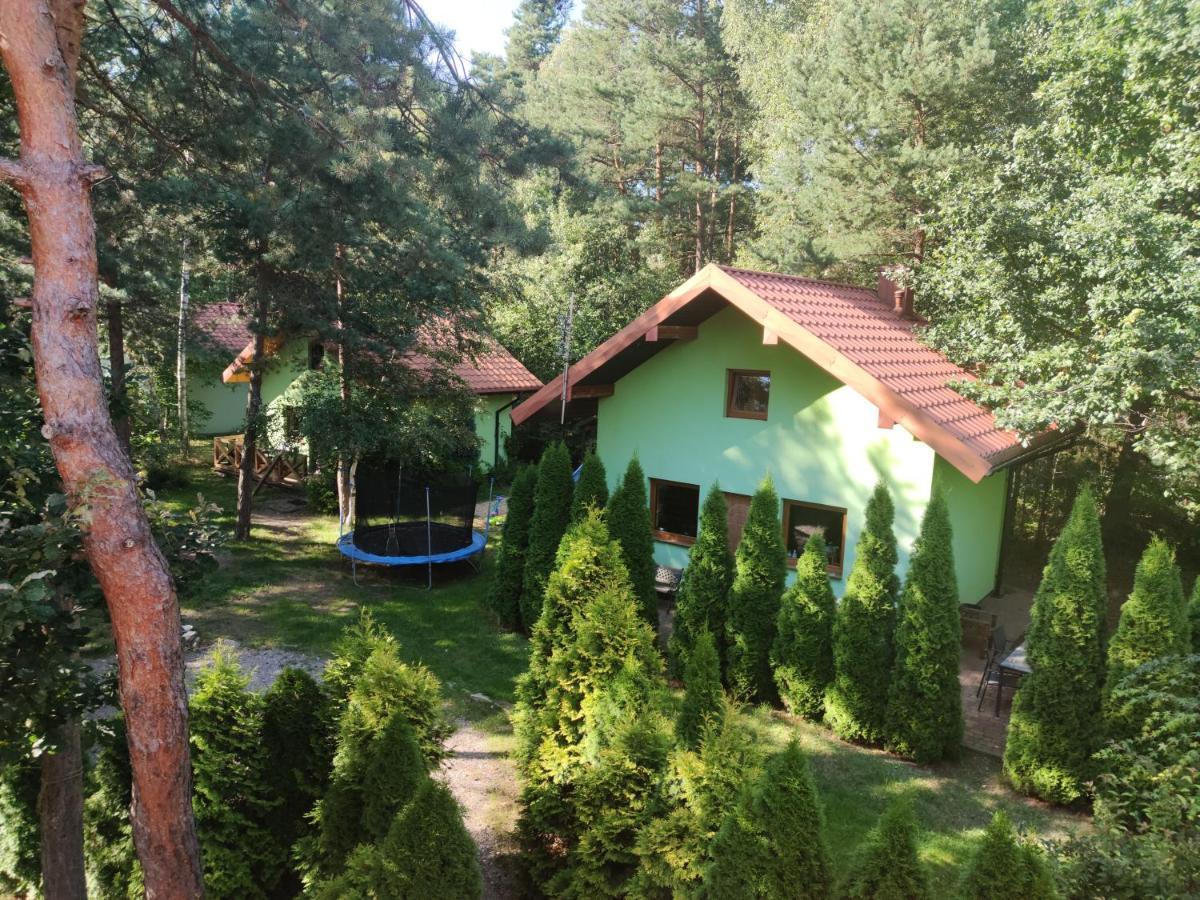 Вілла Niezapominajka-Jura Niegowa Екстер'єр фото